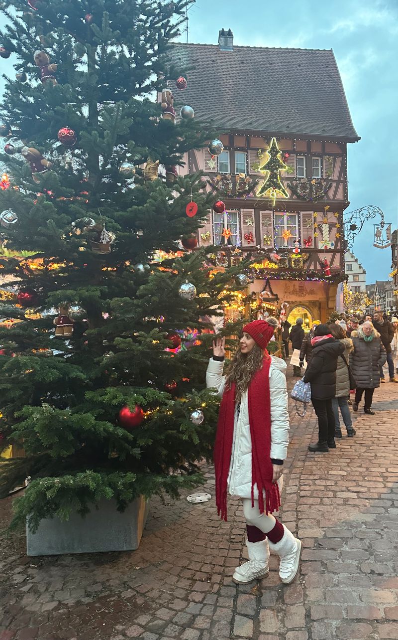 Alsacia y Selva Negra en Navidad Colmar