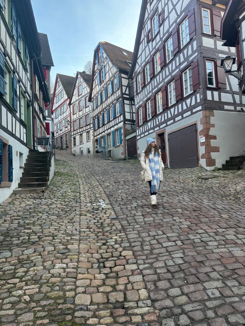 Selva Negra en Navidad Schiltach calle