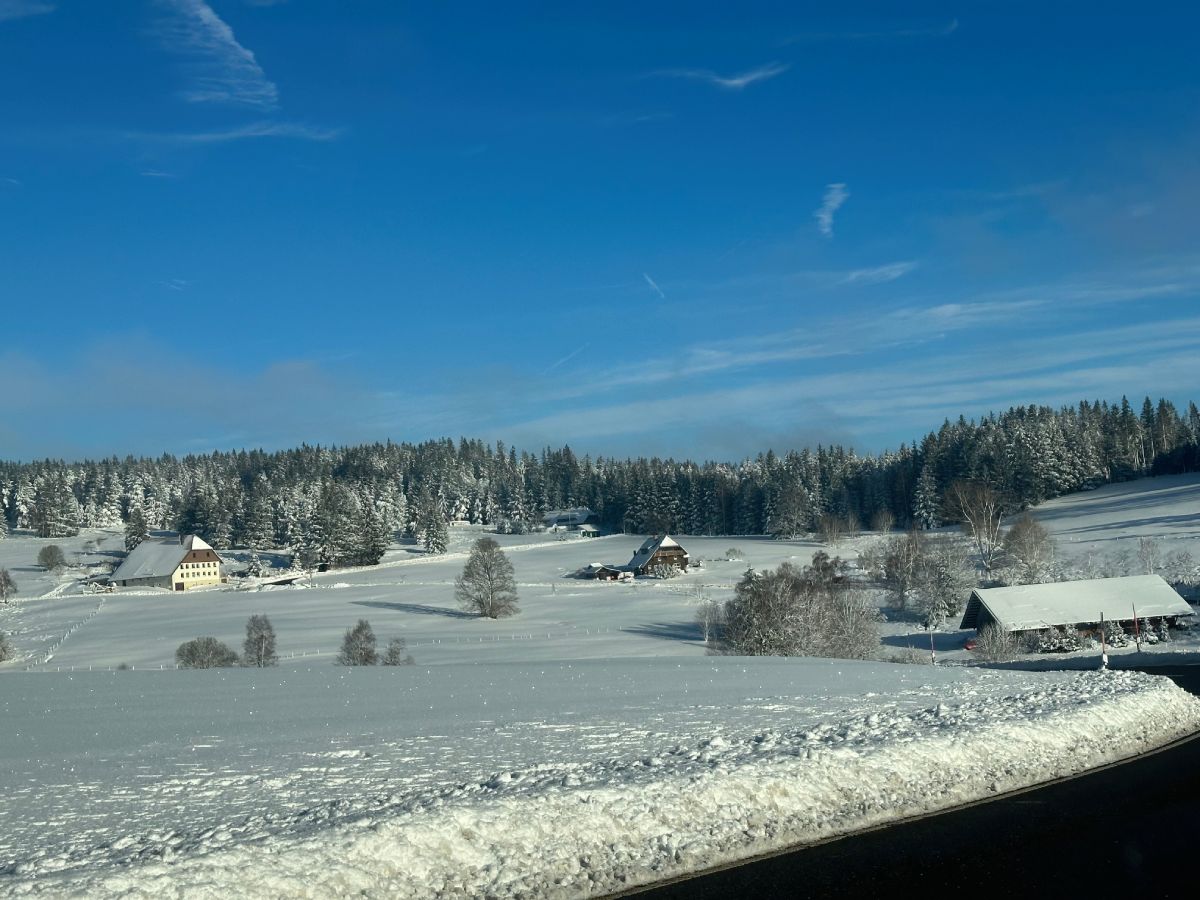 Selva Negra en Navidad bosque nevado