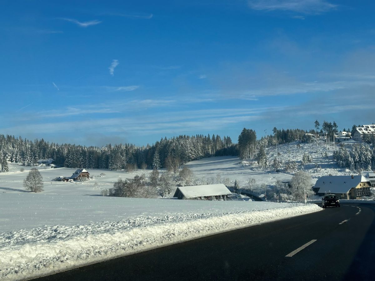 Selva Negra en Navidad carretera panorámica B500