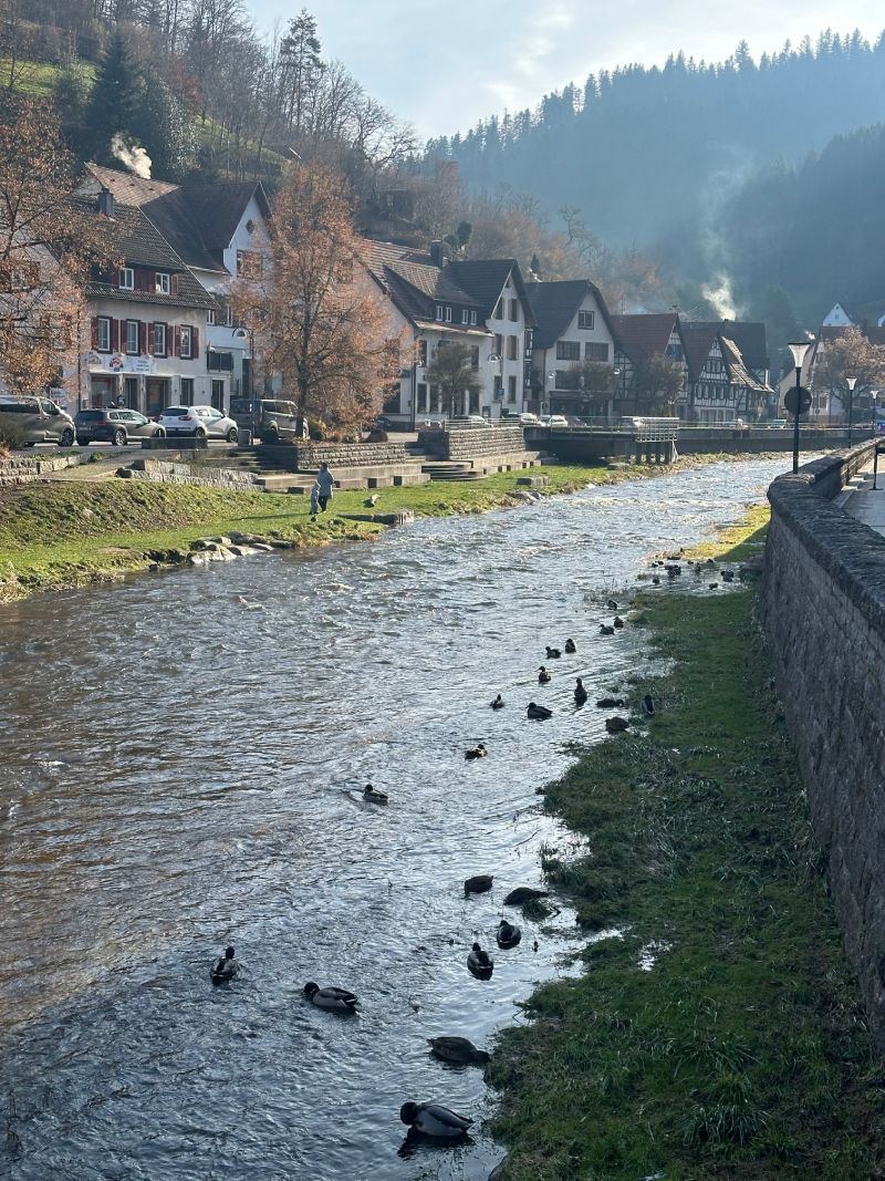 Selva Negra en Navidad Schiltach